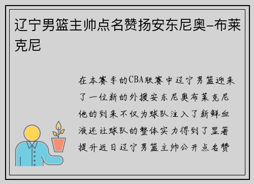 辽宁男篮主帅点名赞扬安东尼奥-布莱克尼